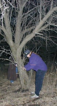 Saturday-Wulfcub_and_Tree.jpg