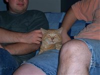 Fri Leo Loving It 1.jpg