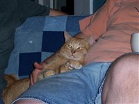Fri Leo Loving Wulfcub.jpg