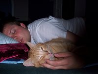 Sat Logo Leo Sleep 2.jpg