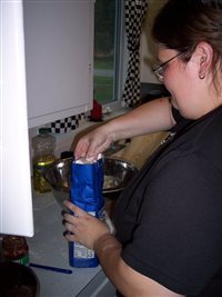 100_4383.JPG