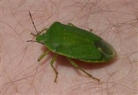 100_4411.jpg