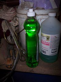 100_4431.JPG
