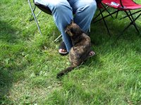 100_4435.JPG