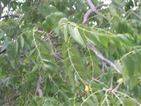 DSCN2524.JPG