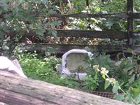 DSCN2525.JPG
