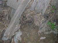 DSCN2530.JPG
