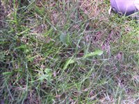 DSCN2537.JPG
