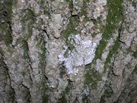 DSCN2538.JPG
