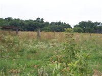 100_6856.JPG