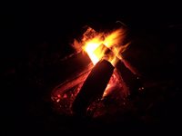 100_6912.JPG
